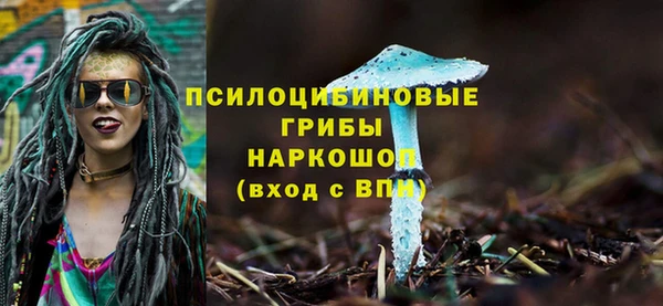 jwh Абаза